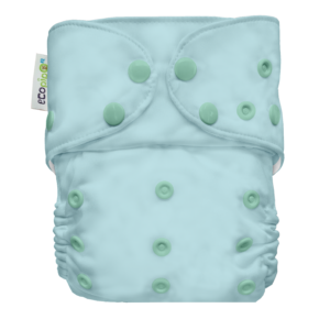 PUBR-TURQUESA (1)